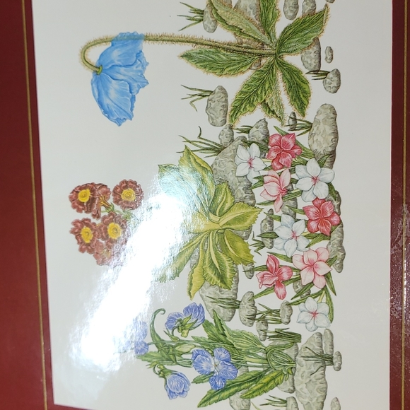 Vintage Clover Leaf table mats 6mats made in United Kingdom - Picture 7 of 9